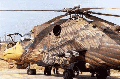 eaglehind2.gif