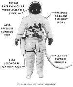 skylab-umbilical-life-support-sm.jpg