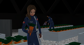 1723846441621.png