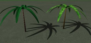 palms.jpg