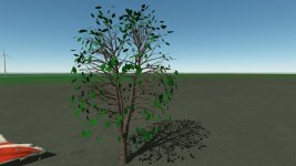 treewithleaves.jpg