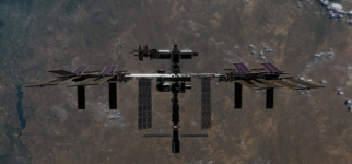 Picture1.png
