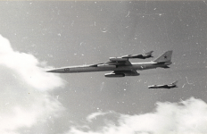 m-50-2.png