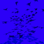 devil_rays.gif