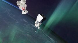 0790bear.jpg