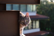 IMG_2952.JPG