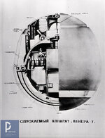 scale_2400 (4).jpg