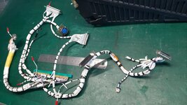 Main harness.jpg