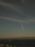 IMG_20241013_201013.jpg