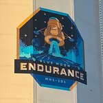 blue_origin_blue_moon_mk101_endurance01.jpg