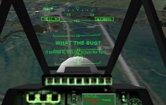 bug.jpg