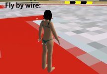 flybywirehot.jpg