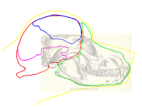 8Uplift Fin.png