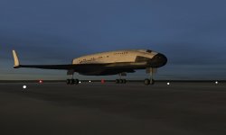 closeup_ground_level_dawn.jpg