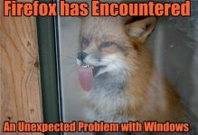 firefox-problem-with-windows.jpg