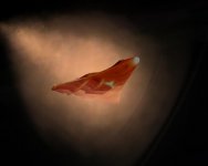 reentry.jpg
