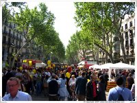 540x405_Diada_Sant_Jordi_4.jpg