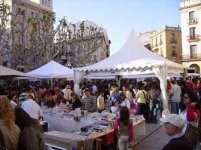 1258298157-m_libros-el-dia-de-sant-jordi-en-barcelona.jpg