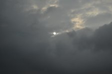 DSC_0456.jpg