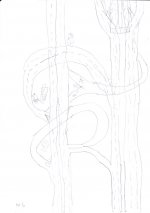 IMGZ_0001.jpg IMGZ_0001.jpg