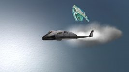 maleflight1.jpg