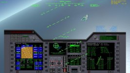 maleflight2.jpg