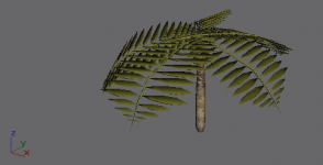 palm.png