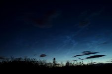NLC1.18.07.2012.jpg