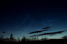 NLC2.18.7.2012.jpg