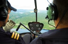 bell2.jpg