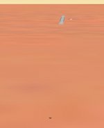 CloseEnoughToWalk.JPG