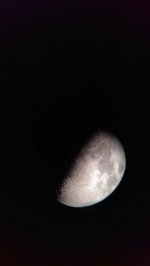 IMAG0010.jpg