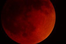 TotalMoon-12751.jpg