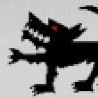 Black dog