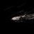 Enlighten1