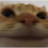 alexanderl3