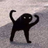 xpldmeerkat