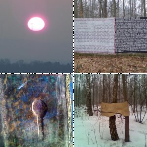 Interesting Real-Life photos