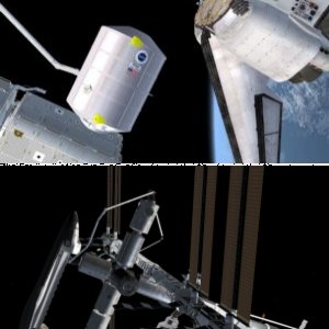 Orbit
