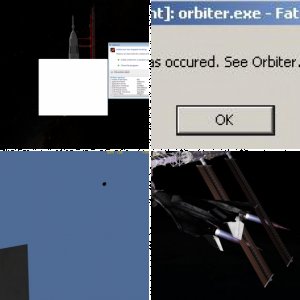 bugs
