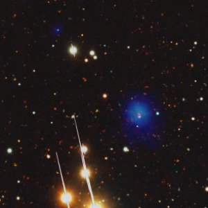 Cosmos