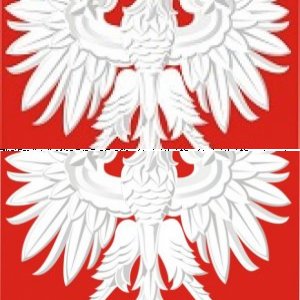 Polish Orbinauts