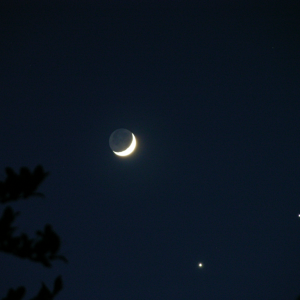 Moon, Venus, Jupiter 2