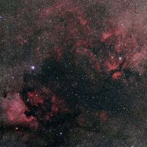 Cygnus Area Wide Field Color
