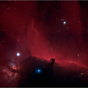 Horsehead and Flame