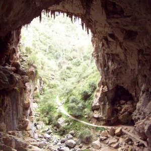 The back entrance of the Nettle Cave