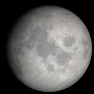 greyMoon