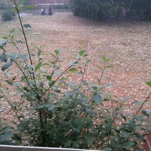 How the hail storm looked like from the door of my balcony.