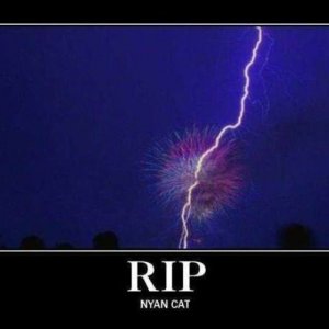 RIPNyanCat