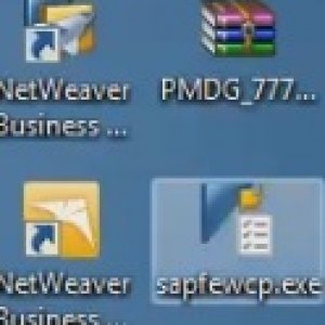 SAP uses PMDG_777